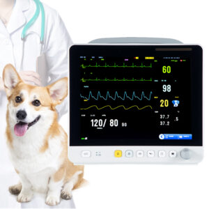 GSTAR-VET Multiparameter Monitor VE12"