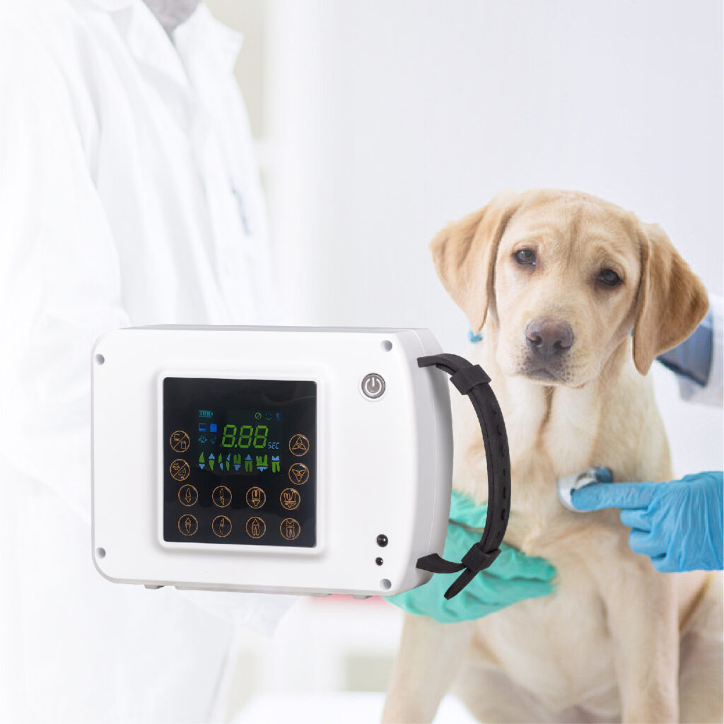 Pet Dental Portable X-ray Machine